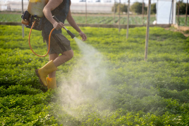 Best Mosquito Control Services  in Clinton, PA