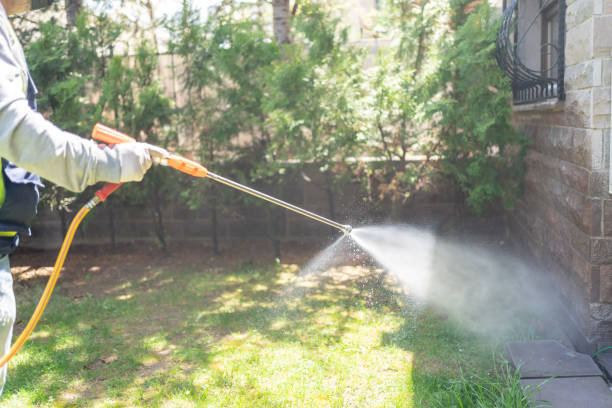 Best Wasp Removal Services  in Clinton, PA