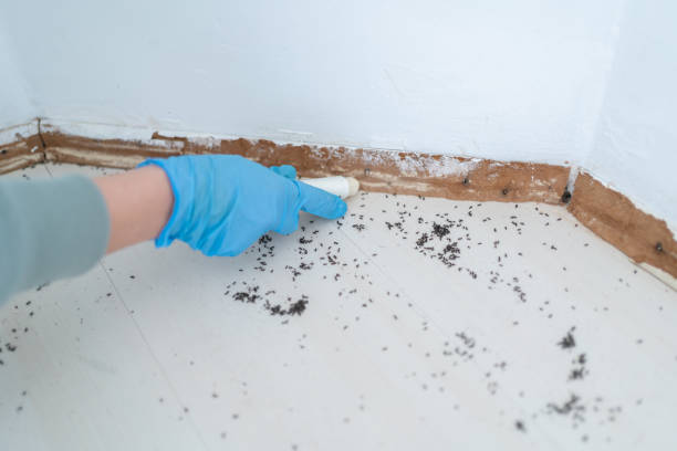 Best Best Pest Control Companies  in Clinton, PA